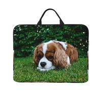 Cavalier King Charles Spaniel Blanc Brunâtre,Housse pour Ordinateur Portable 14 Pouces, Sacoche pour Ordinateur Portable, Mallette avec poignée