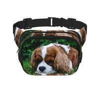 Cavalier King Charles Spaniel Blanc Brunâtre,Sac Banane carré Double Couche, Sac de Poitrine