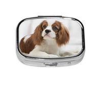 Cavalier King Charles Spaniel Brown Spaniel, Meta Pilulier à 2 compartiments, organiseur portable