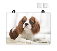 Cavalier King Charles Spaniel Brown Spaniel, Tapis de Protection pour Plaque de Cuisson, 72 x 52 cm, en Caoutchouc TPU Absorbant et antidérapant.