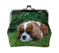 Cavalier King Charles Spaniel Brun Blanc,Porte-Monnaie en Cuir PU, Petit Portefeuille, Pochette à Monnaie avec Fermoir Baiser