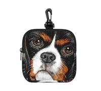 Cavalier King Charles Spaniel, Chien à Offrir,Pochette de Rangement carrée à Fermeture éclair, Porte-Monnaie en néoprène, Petit Portefeuille, Pochette à Monnaie, Porte-Monnaie