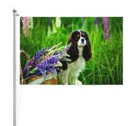 Cavalier King Charles Spaniel Chien Fleurs de lupin,Drapeau de jardin, bannière décorative, drapeau double face, 2 x 3 pieds, pour extérieur et intérieur