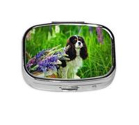 Cavalier King Charles Spaniel Chien Lupin, Pilulier Meta 2 Compartiments Boîte à Médicaments Organisateur Portable