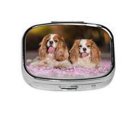 Cavalier King Charles Spaniel Chiens Blancs et Marrons, Pilulier méta à 2 compartiments, Organiseur portable