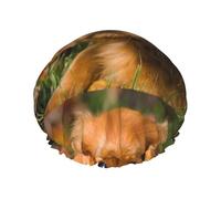 Cavalier King Charles Spaniel, chiens bruns à poil bou onnet de douche/bonnet de nuit double couche imperméable et élastique, bonnet de bain réutilisable