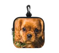 Cavalier King Charles Spaniel, Chiens Bruns à Poil bouclé,Pochette de Rangement carrée à Fermeture éclair, Porte-Monnaie en néoprène, Petit Portefeuille, Pochette à Monnaie, Porte-Monnaie