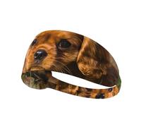 Cavalier King Charles Spaniel Chiens Bruns bouclés,Bandeau de Sport Unisexe, Bandeau élastique Multi-usages pour Cheveux
