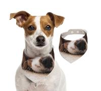 Cavalier King Charles Spaniel Chiens Mignons Animaux de Compagnie,Bandanas pour Chien, écharpe en Coton, Bavoirs réglables pour Animaux de Compagnie,S