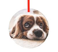 Cavalier King Charles Spaniel Chiens Mignons Animaux de Compagnie, Pendentif Rond en Verre, décoration Suspendue pour cheminée de Noël