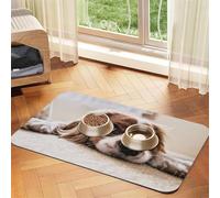 Cavalier King Charles Spaniel Chiens Mignons Animaux de Compagnie,Tapis d'alimentation pour Animaux de Compagnie, Sets de Table en Cuir PU pour Chats et Chiens,40x60cm