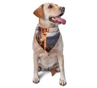 Cavalier King Charles Spaniel Coast Pets Dogs Bandanas pour Chiens Chats Chiots Écharpes Mouchoir Lavable pour Animaux de Compagnie