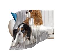 Cavalier King Charles Spaniel, couverture polaire ultra douce et confortable en peluche, couverture pour canapé, chaise, salon, climatisation, 127 x 152,4 cm