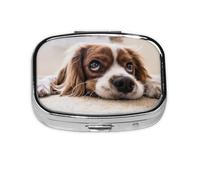 Cavalier King Charles Spaniel Cute Dogs Pets Pilulier Meta 2 compartiments Boîte à médicaments Organiseur portable
