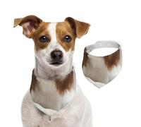 Cavalier King Charles Spaniel Épagneul Brun,Bandanas pour Chien, écharpe en Coton, Bavoirs réglables pour Animaux de Compagnie,L