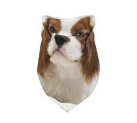 Cavalier King Charles Spaniel Épagneul Brun,Bavoir écharpe Triangulaire à Capuche réglable pour Animaux de Compagnie, Capuche Lavable adaptée aux Chiens et Chats de Petite, Moyenne et Grande Taille
