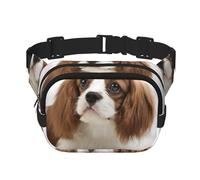 Cavalier King Charles Spaniel Épagneul Brun,Sac Banane carré Double Couche, Sac de Poitrine