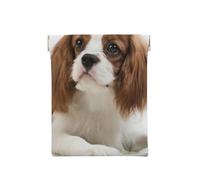 Cavalier King Charles Spaniel Épagneul Brun, Sac de Rangement pour Femmes, Portefeuille supérieur à Presser, Petit Porte-Monnaie, Pochette de Changement
