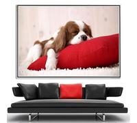 Cavalier King Charles Spaniel - Kit de peinture diamant 5D à faire soi-même - Décoration murale - Cadeau d'anniversaire