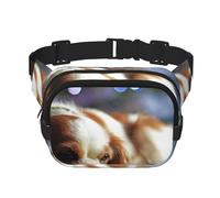 Cavalier King Charles Spaniel Petit Épagneul,Sac Banane carré Double Couche, Sac de Poitrine