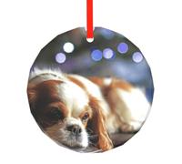 Cavalier King Charles Spaniel Petit Spaniel, Pendentif Rond en Verre, décoration Suspendue pour cheminée de Noël