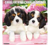 Willow Creek Press, Just Cavalier King Charles Puppies Calendrier mural 2027