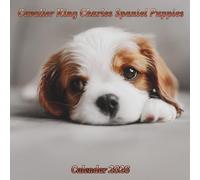 Cavalier King Charles Spaniel Puppies Calendar 2026: 12 month Organizer Jan 2026 to Dec 2026