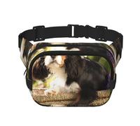 Cavalier King Charles Spaniel,Sac Banane carré Double Couche, Sac de Poitrine