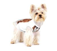 Cavalier King Charles Spaniel,T-Shirt sans Manches en Coton pour Animaux de Compagnie, Gilet Respirant, Extensible et Doux,L