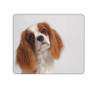 Cavalier King Charles Spaniel,Tapis de Souris antidérapant avec Base en Caoutchouc, Tapis de Souris imperméable 25 x 30 cm