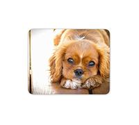 Cavalier King Charles Spaniel Tapis de Souris Tapis - Amant de Chien Computer Fun Cadeau # 14978