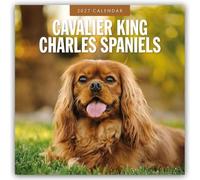 Cavalier King Charles Spaniels - Cavalier King Charles Spaniel 2027 - 16-Monatskalender: Original Red Robin Publishing Ltd-Kalender [Mehrsprachig] [Kalender]