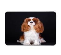 Cavalier Roi Charles Spaniel Tapis de Sol Camping Antidérapant 3D Motif Entrée Tapis Animal Chien, Noir Paillasson Extérieur Paillasson Intérieur Tapis D'extérieur pour Chambre Couloir 50 x 80 cm