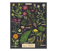 Puzzle LetterBox Cavallini Herbarium 1000 pièces 50 x 70 cm
