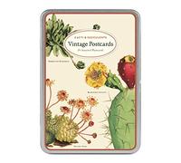 Cavallini - Carte Postale - Cactus / Succulents- Boite de 18 Vintage Cartes Postales - 9 Modèles/2 par Design