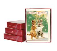 Cavallini & Co. Cartes de Noël en boîte Motif chats de Noël