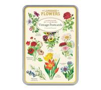 CAVALLINI & CO. Language of Flowers Lot de cartes postales de style vintage