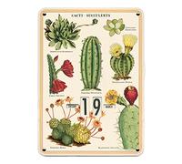 Cavallini Papers & Co Inc. Calendrier Multicolore