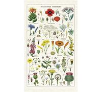 Cavallini Papers & Co., Inc. Torchon Multicolore