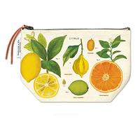Cavallini Papers & Co. Pochette Vintage Agrumes, Agrumes