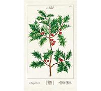 Cavallini Papers & Co. Torchon Multicolore
