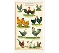 Cavallini Papers & Co. Torchon Poulets