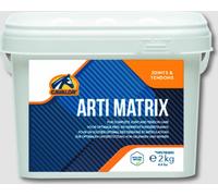 Cavalor Arti matrix seau de 2 kg MSM glucosamine pour les problèmes d'articulations problèmes de sabots