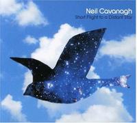 Cavanagh, Neil - Short Flight to a Distant Star