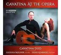 Cavatina At The Opera