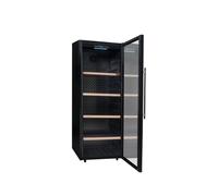 Climadiff Premium CPW204B1 - Cave à vin - largeur : 59.5 cm - profondeur : 70 cm - hauteur : 158.8 cm - 387 litres - classe G - noir Noir G