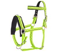 Caveçon nylon pour cheval Imperial Riding Vert Poney