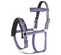 Caveçon nylon pour cheval Imperial Riding Violet Full