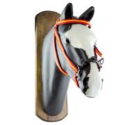 Caveçon pour cheval en nylon espagnol JM Rouge TU