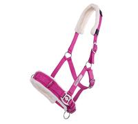 Caveçon pour cheval QHP Rose Shetland